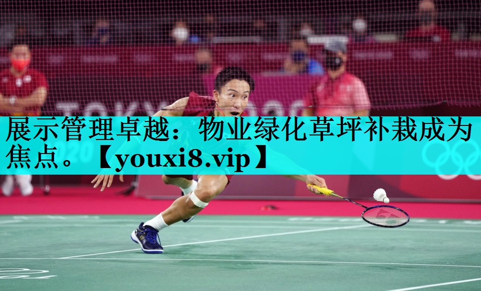展示管理卓越：物业绿化草坪补栽成为焦点。