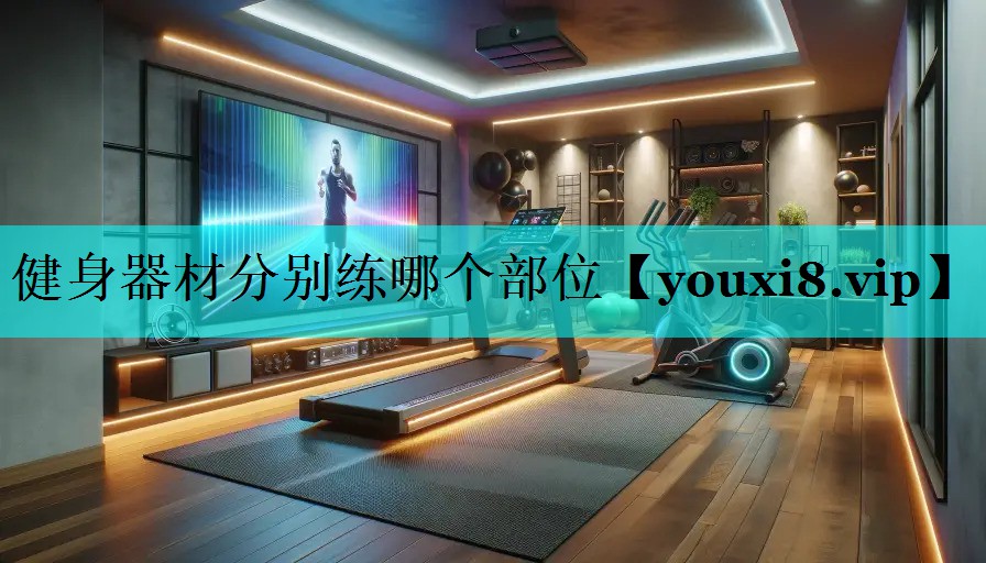 健身器材分别练哪个部位