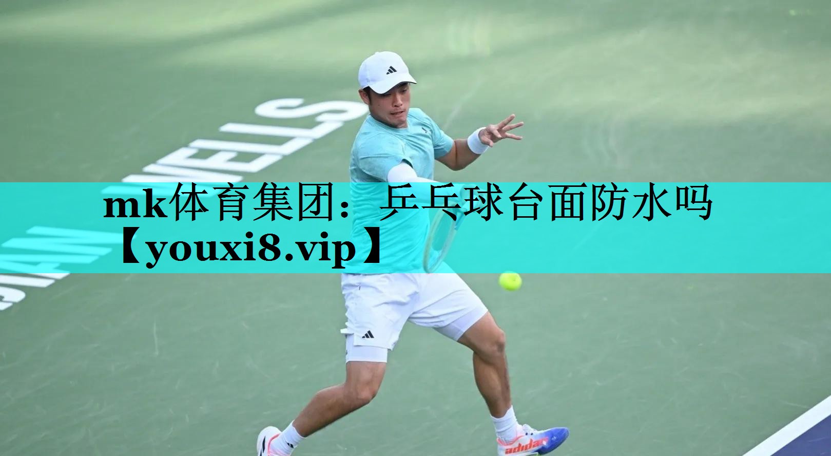mk体育集团：乒乓球台面防水吗