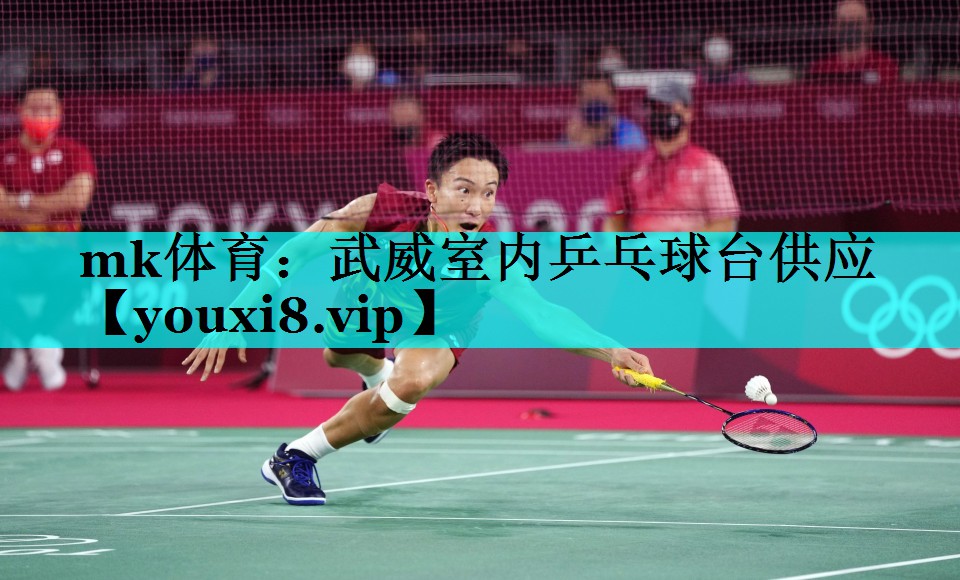 mk体育：武威室内乒乓球台供应