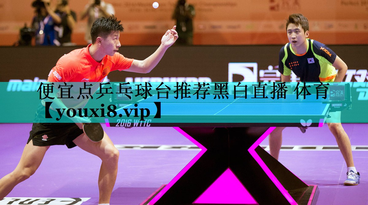便宜点乒乓球台推荐黑白直播 体育