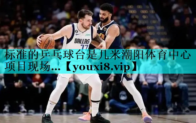 标准的乒乓球台是几米潮阳体育中心项目现场…