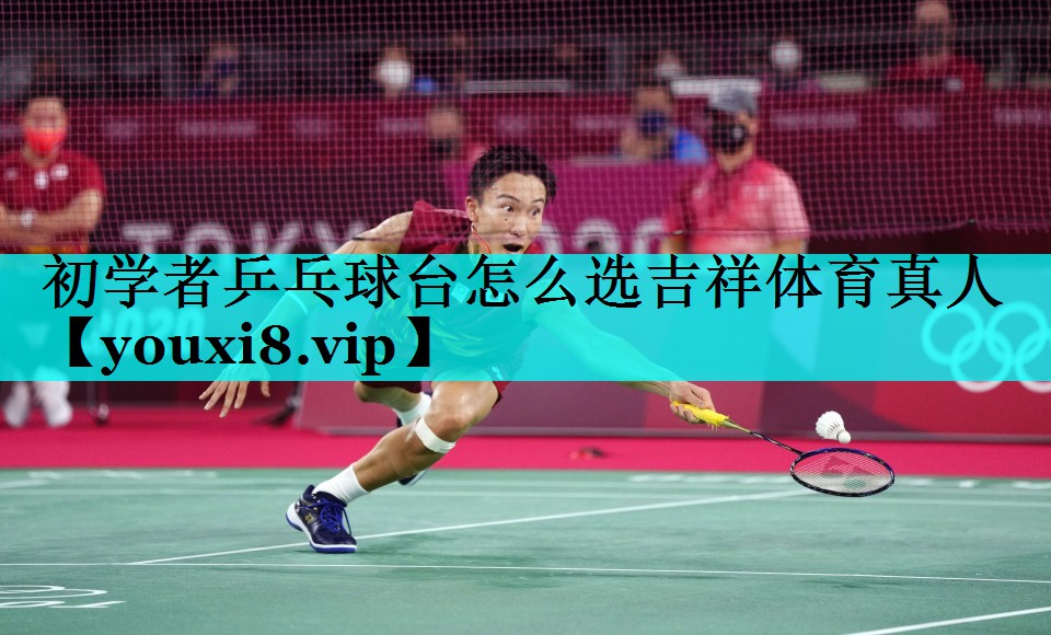 初学者乒乓球台怎么选吉祥体育真人