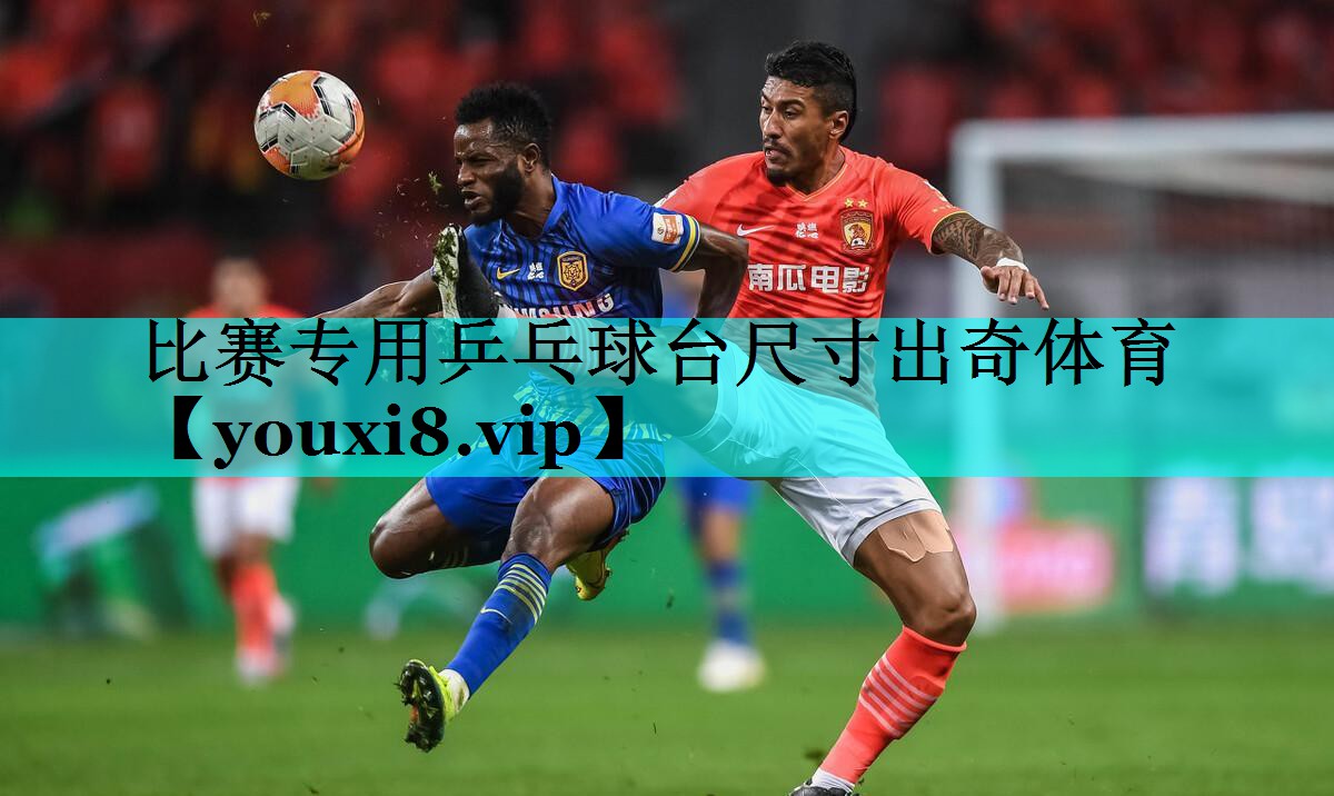 比赛专用乒乓球台尺寸出奇体育