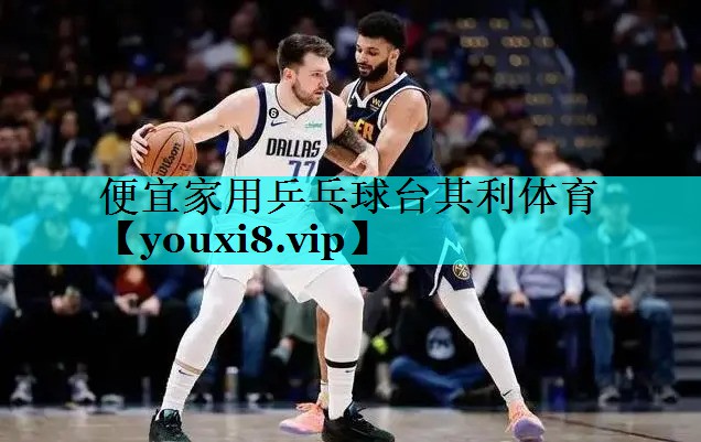 便宜家用乒乓球台其利体育