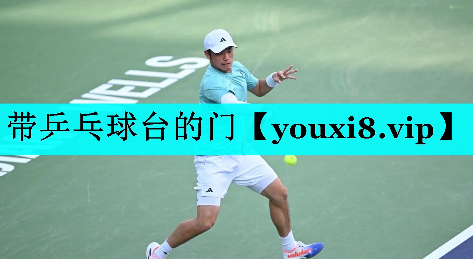 带乒乓球台的门 带乒乓球台的门