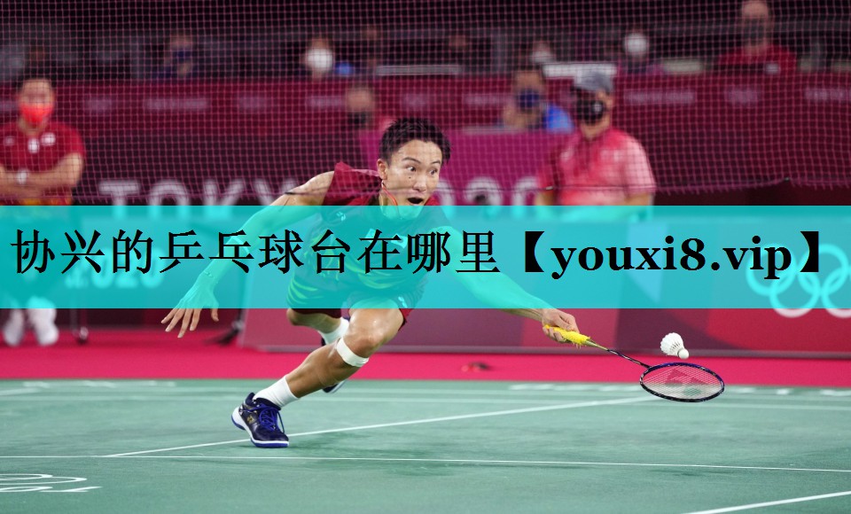 协兴的乒乓球台在哪里 协兴的乒乓球台在哪里
