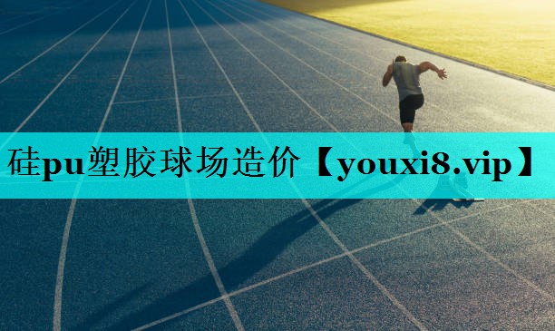 硅pu塑胶球场造价 硅pu塑胶球场造价
