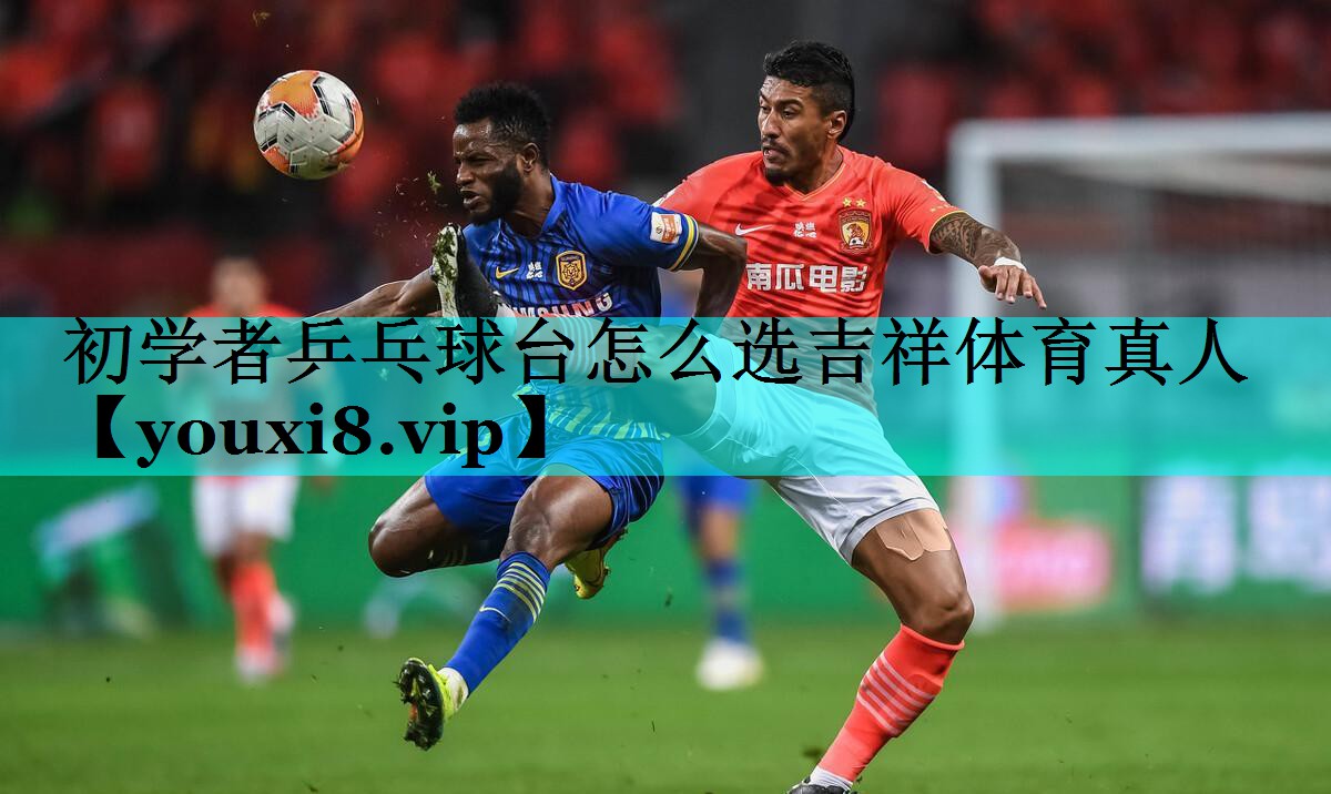 初学者乒乓球台怎么选吉祥体育真人