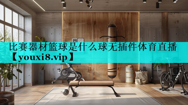 比赛器材篮球是什么球无插件体育直播