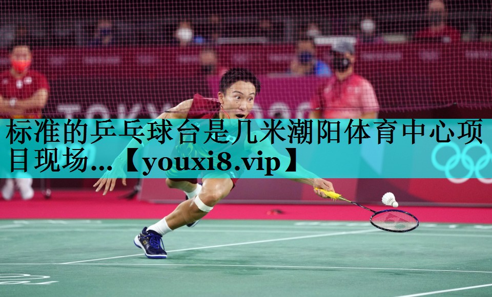 标准的乒乓球台是几米潮阳体育中心项目现场…