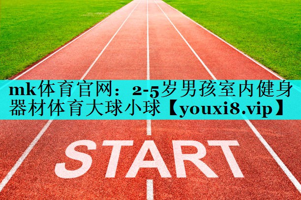 mk体育官网：2-5岁男孩室内健身器材体育大球小球
