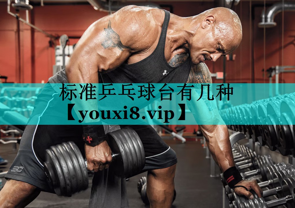 标准乒乓球台有几种 标准乒乓球台有几种
