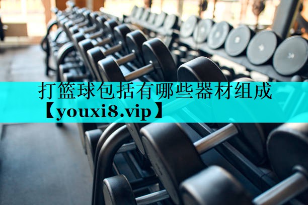 打篮球包括有哪些器材组成 打篮球包括有哪些器材组成
