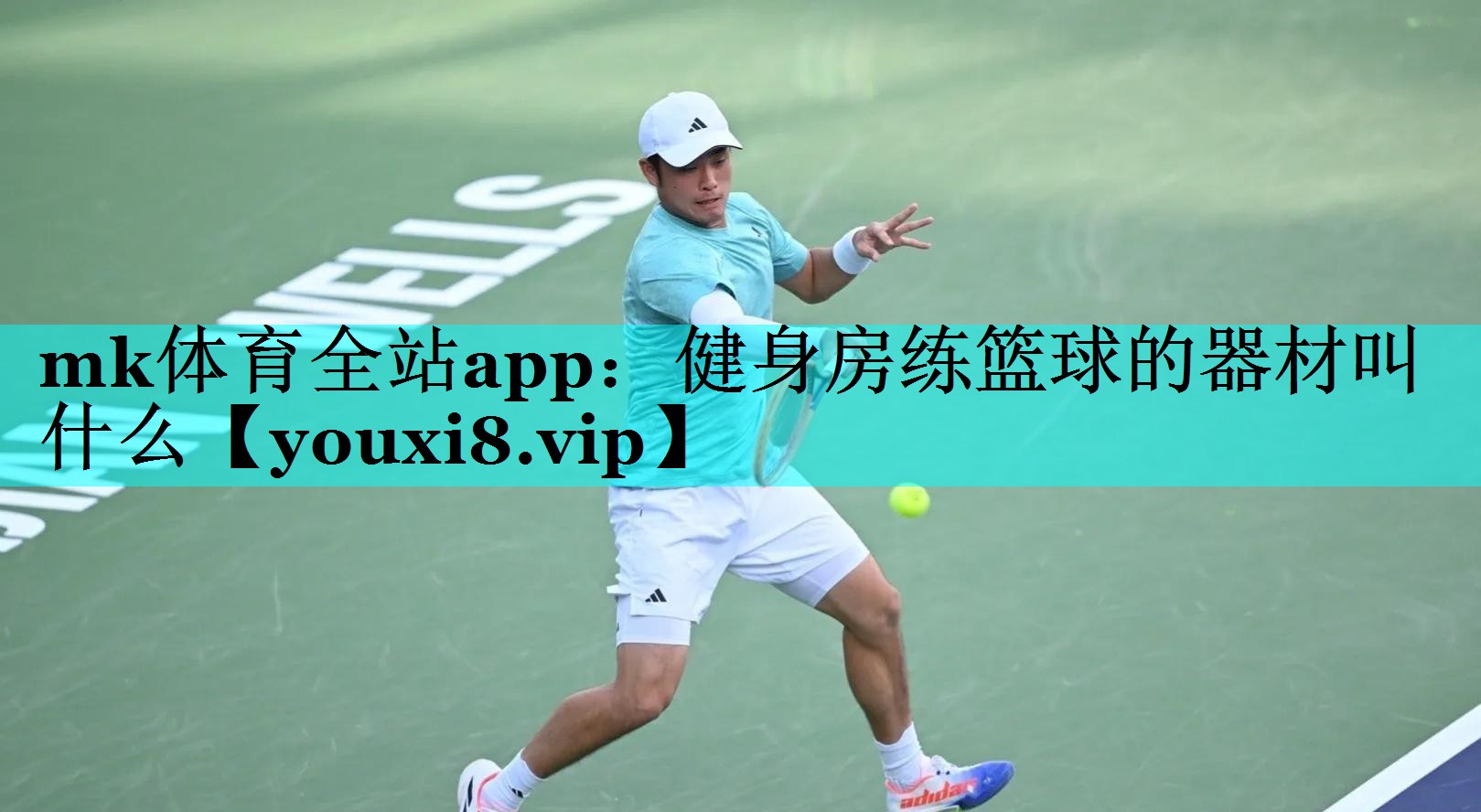 健身房练篮球的器材叫什么 健身房练篮球的器材叫什么