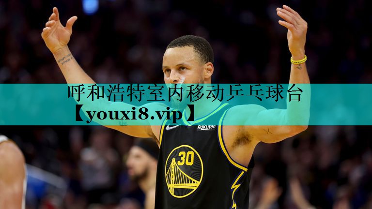 呼和浩特室内移动乒乓球台 呼和浩特室内移动乒乓球台
