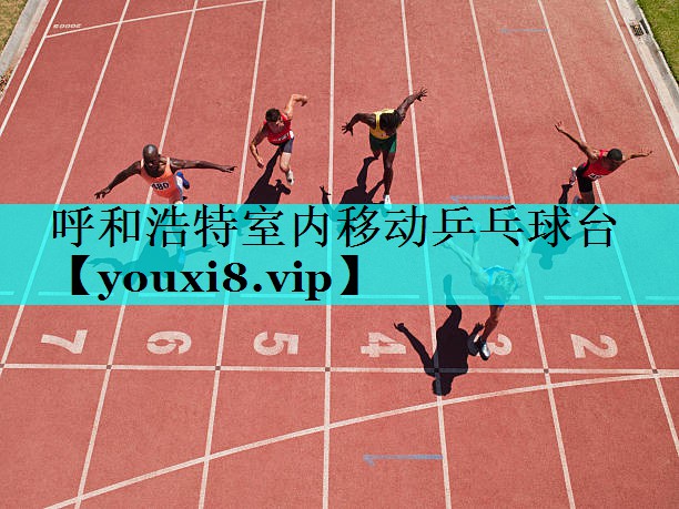 呼和浩特室内移动乒乓球台 呼和浩特室内移动乒乓球台