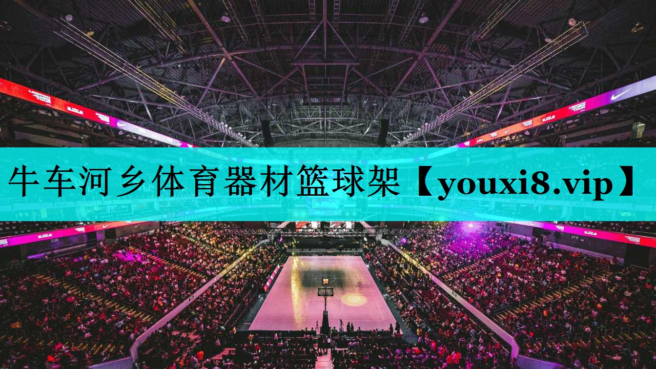 牛车河乡体育器材篮球架 牛车河乡体育器材篮球架