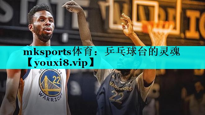 乒乓球台的灵魂 乒乓球台的灵魂