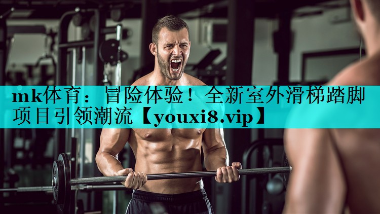冒险体验!全新室外滑梯踏脚项目引领潮流 冒险体验!全新室外滑梯踏脚项目引领潮流